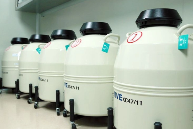 進口液氮罐 進口液氮罐